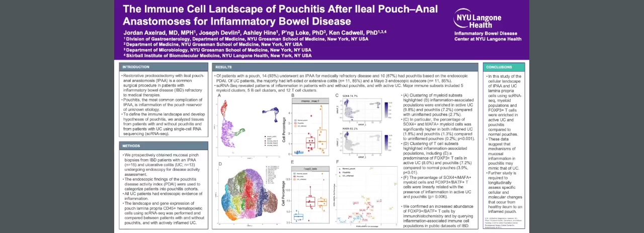 THE IMMUNE CELL LANDSCAPE OF POUCHITIS AFTER ILEAL POUCH-ANAL ANASTOMOSES FOR INFLAMMATORY BOWEL DISEASE