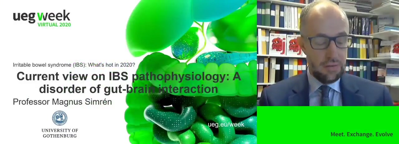 Current view on IBS pathophysiology: A disorder of gut-brain interaction