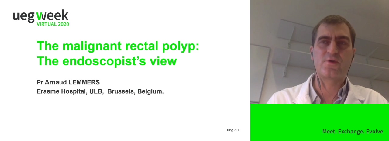 The malignant rectal polyp: The endoscopist's view