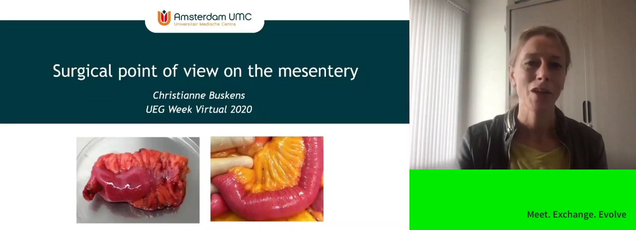 The surgical point of view on the mesentery
