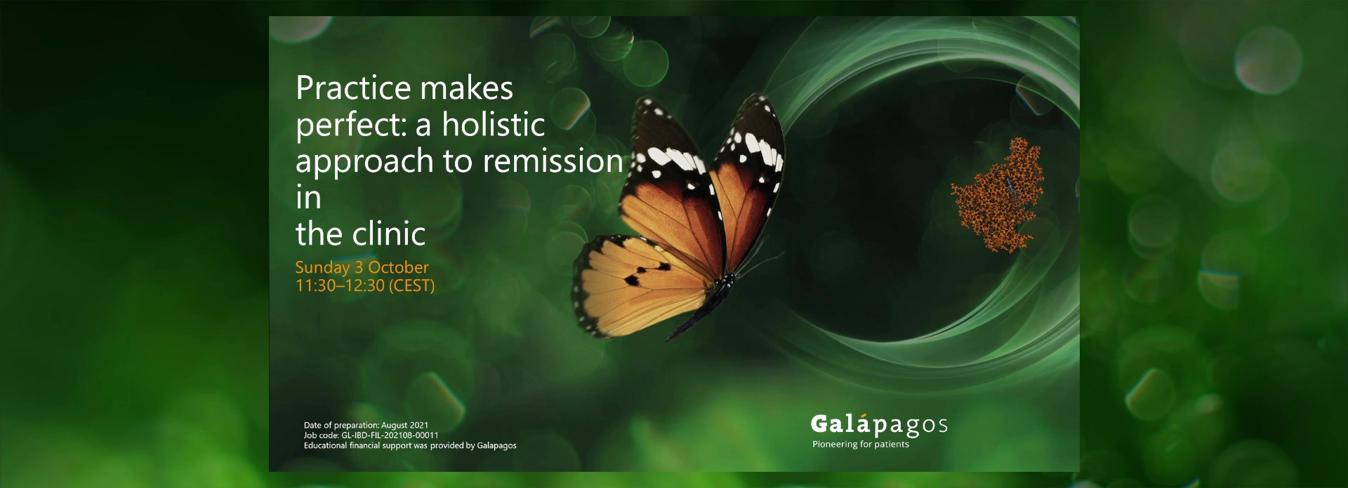 Practice makes perfect: a holistic approach to remission in the clinic (Galapagos)