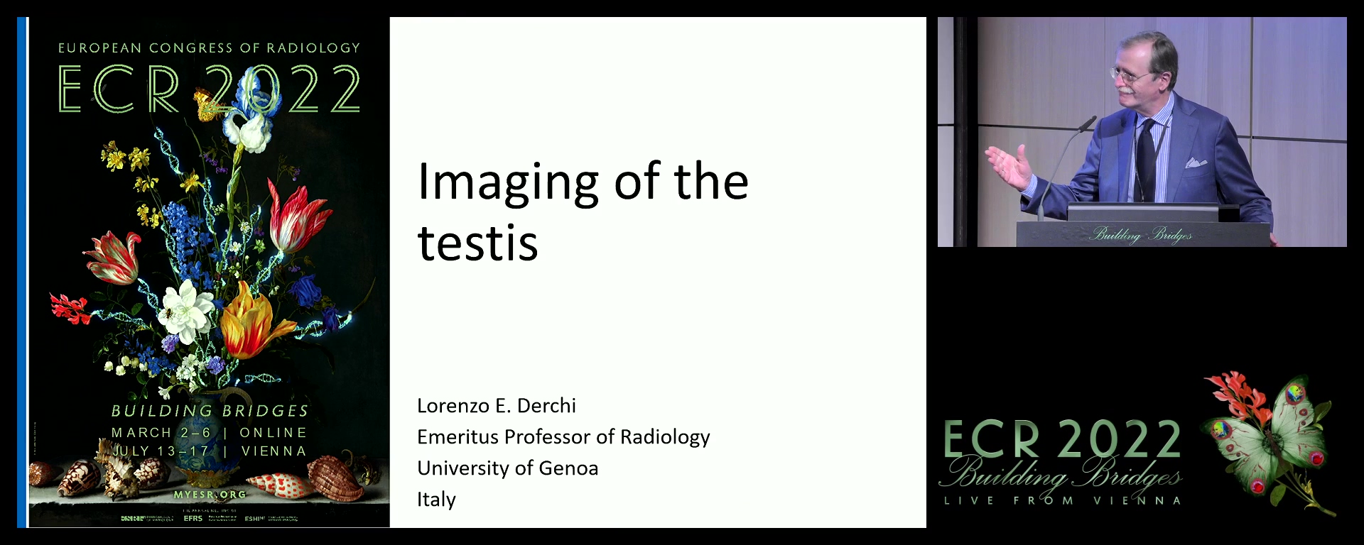 Imaging of the testis