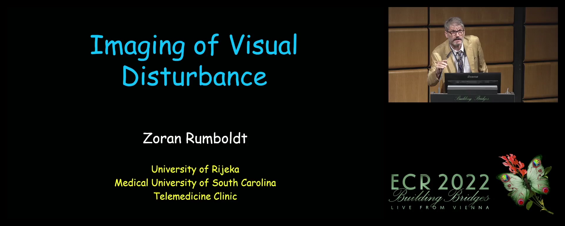 Imaging of visual disturbance