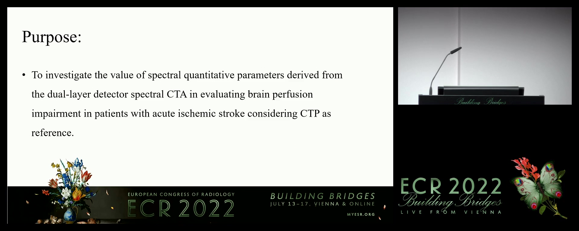 The value of spectral quantitative parameters on dual-layer detector CT in ischaemic stroke