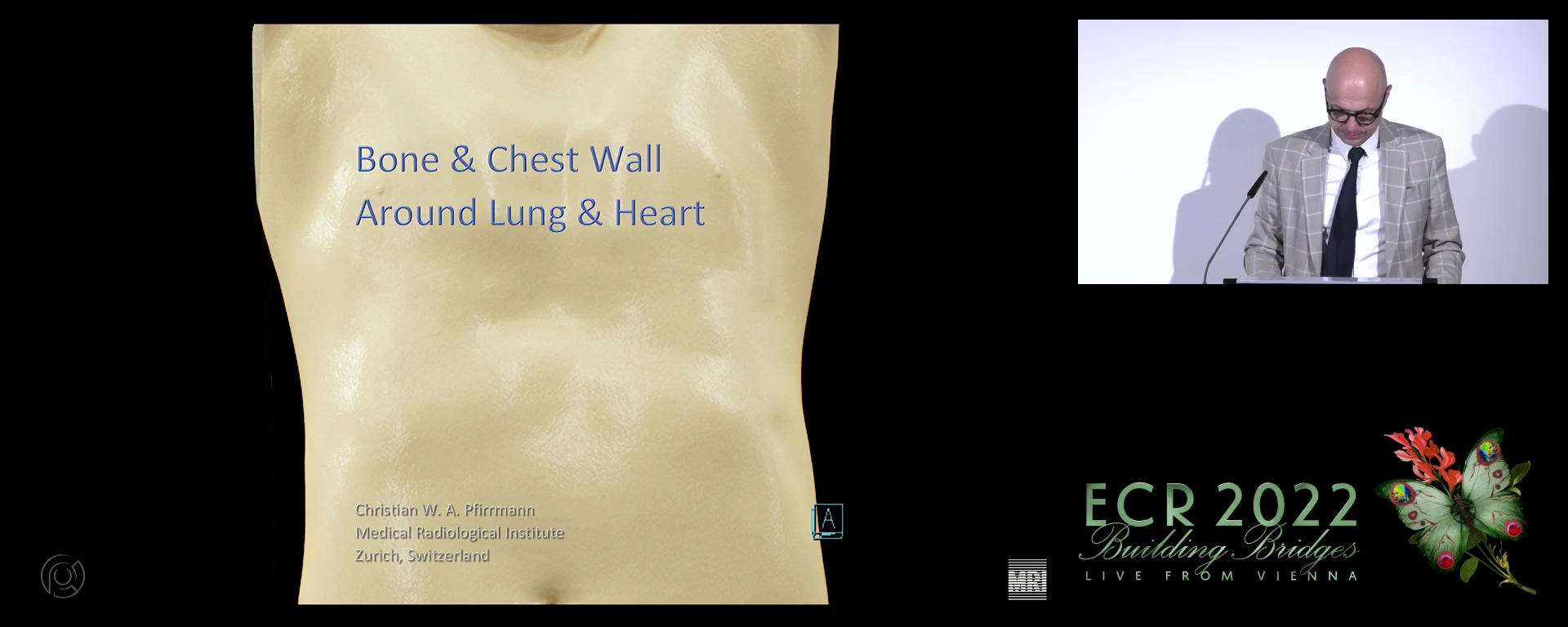 Bones and the chest wall