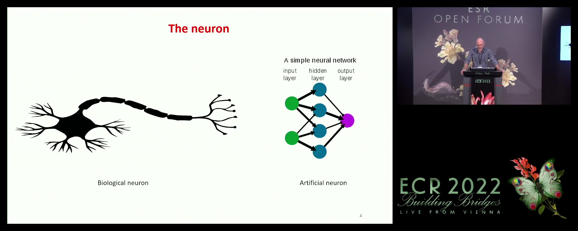 Connecting with research in the human connectome