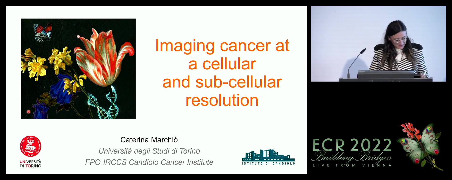 Imaging cancer at a cellular and sub-cellular resolution