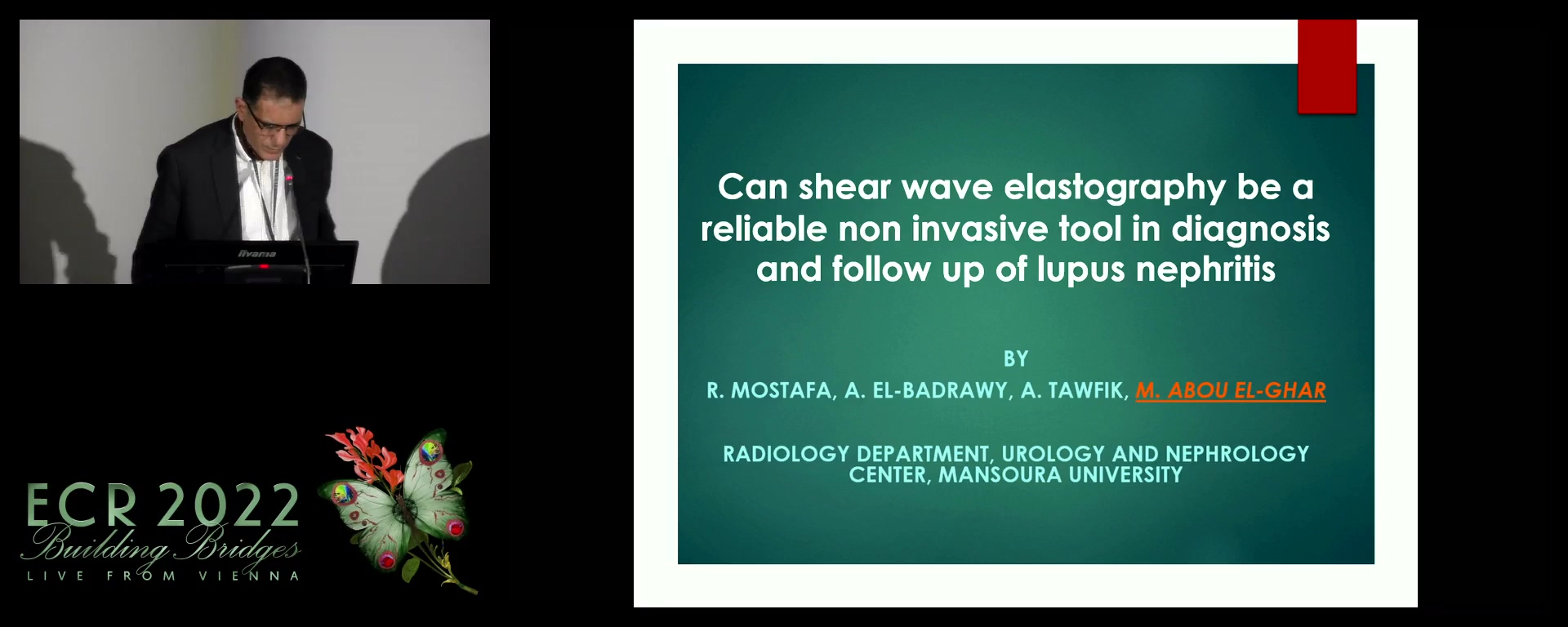 Can shear wave elastography be a reliable non-invasive tool in diagnosis and follow-up of lupus nephritis?
