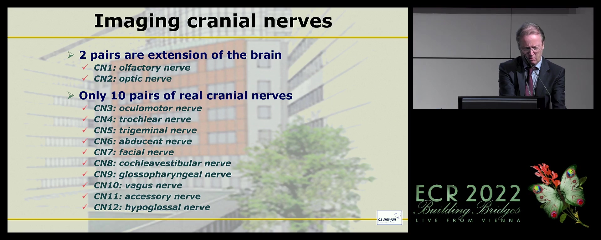 Imaging cranial nerves
