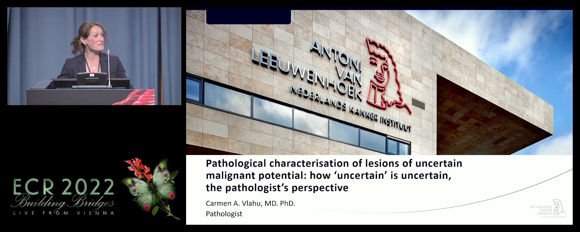 Pathological characterisation of lesions of uncertain malignant potential: how 'uncertain' is uncertain, the pathologist's perspective