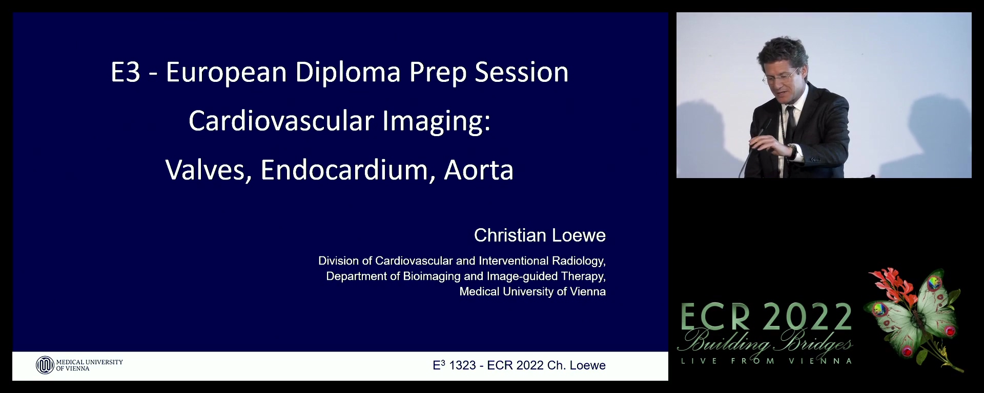 Cardiovascular imaging: valves, endocardium, and aorta