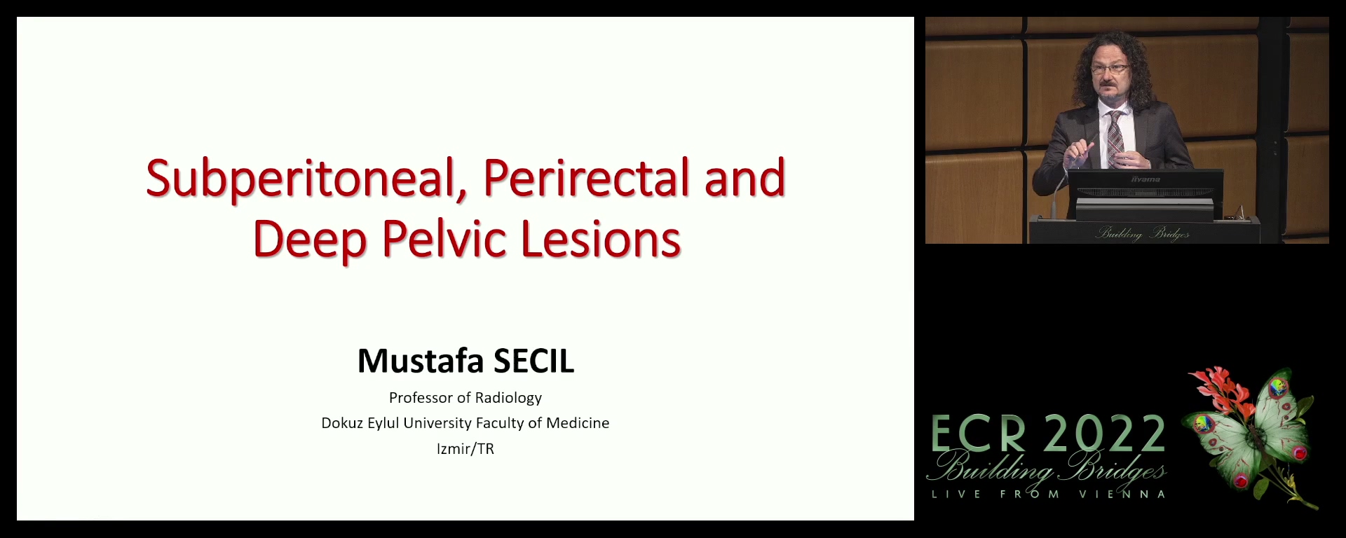 Subperitoneal, perirectal and deep pelvic lesions