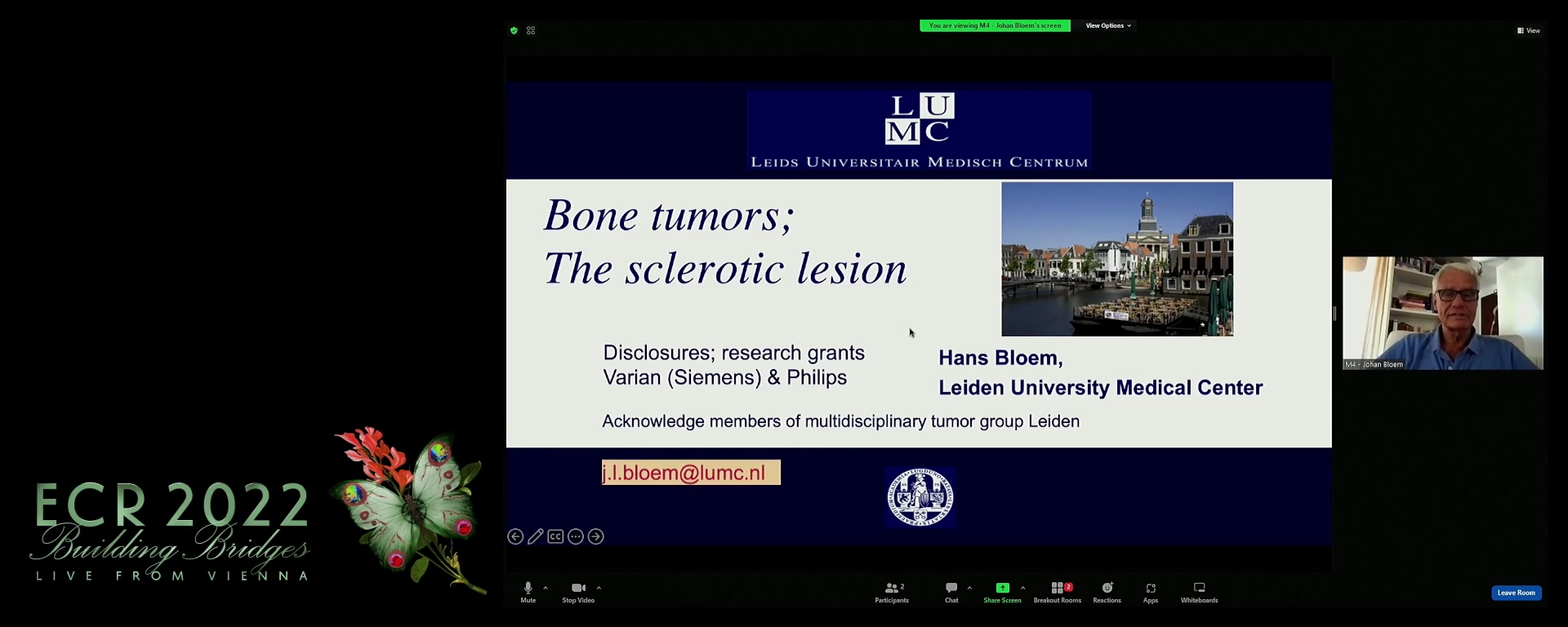 The sclerotic lesion - Johan L. Bloem, Leiden / NL