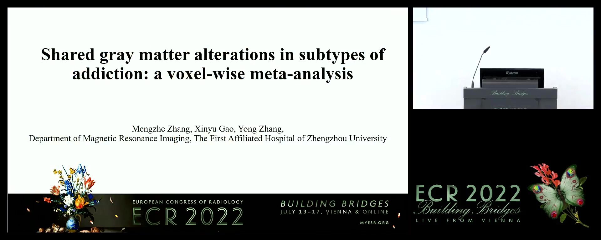 Shared grey matter alterations in subtypes of addiction: a voxel-wise meta-analysis