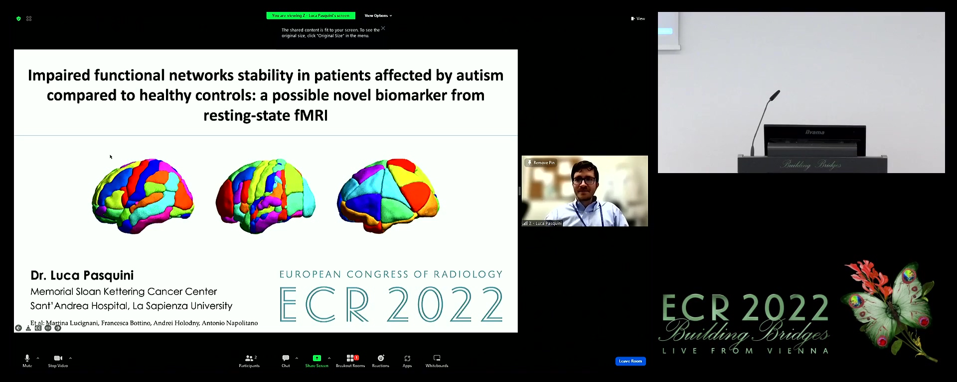 Functional networks stability in patients affected by autism compared to healthy controls: a possible novel biomarker from resting-state fMRI