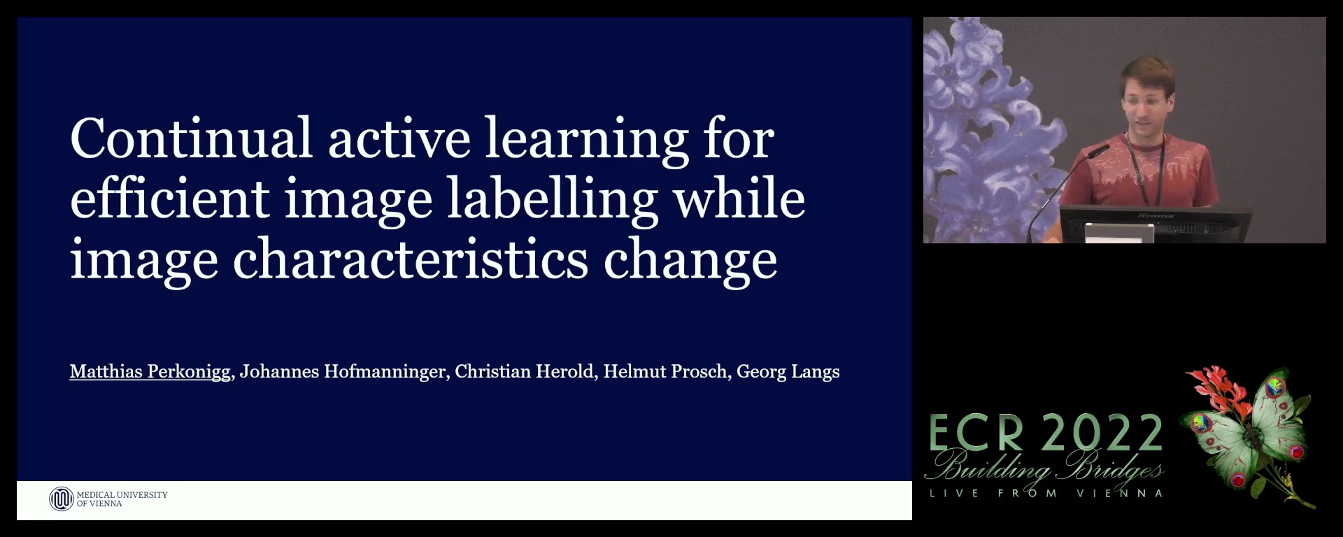 Continual active learning for efficient image labelling while image characteristics change - Matthias Perkonigg, Wien / AT