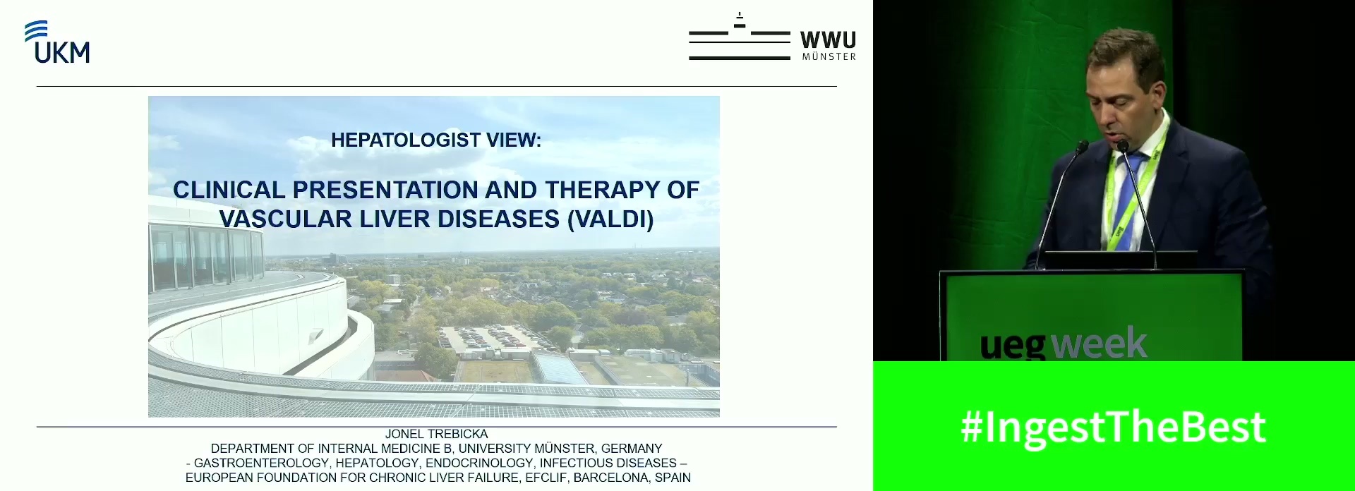 Hepatologist view: Clinical presentation and therapy of vascular liver diseases