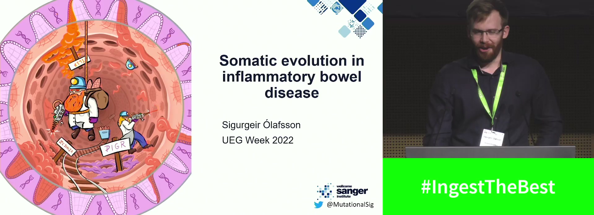 Somatic mutations: Impact on IBD