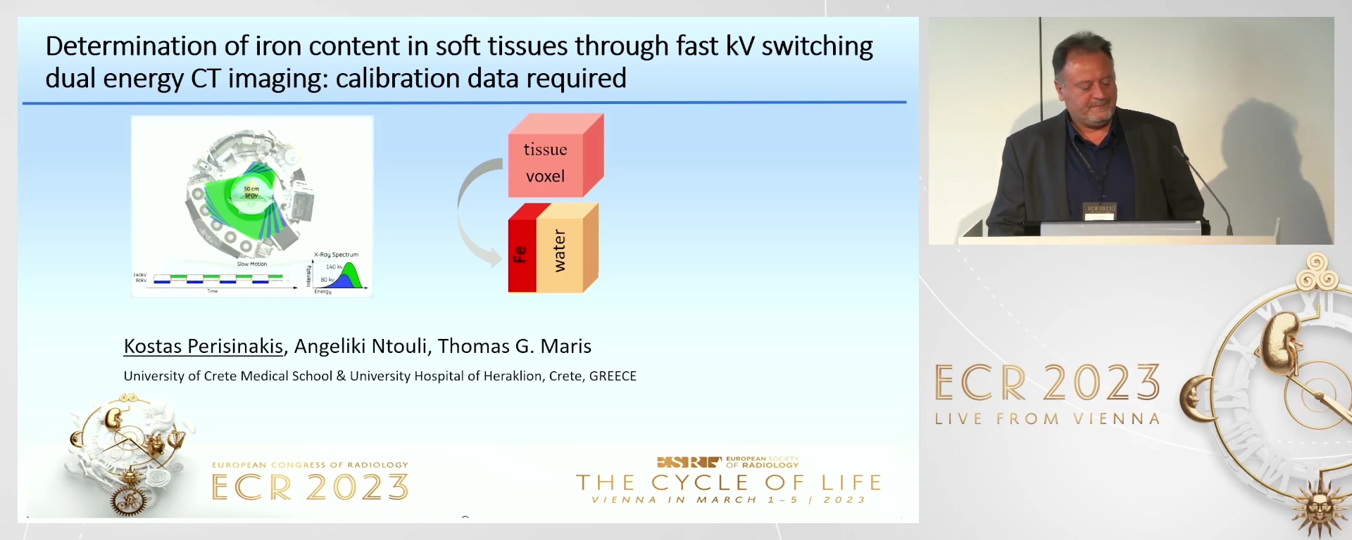 Determination of iron content in soft tissues through fast kV switching dual-energy CT imaging: calibration data required