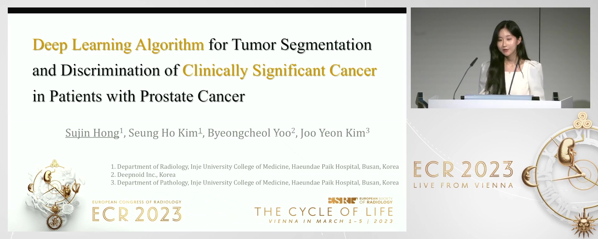 Deep learning algorithm for tumour segmentation and classification of aggressiveness in patients with prostate cancer