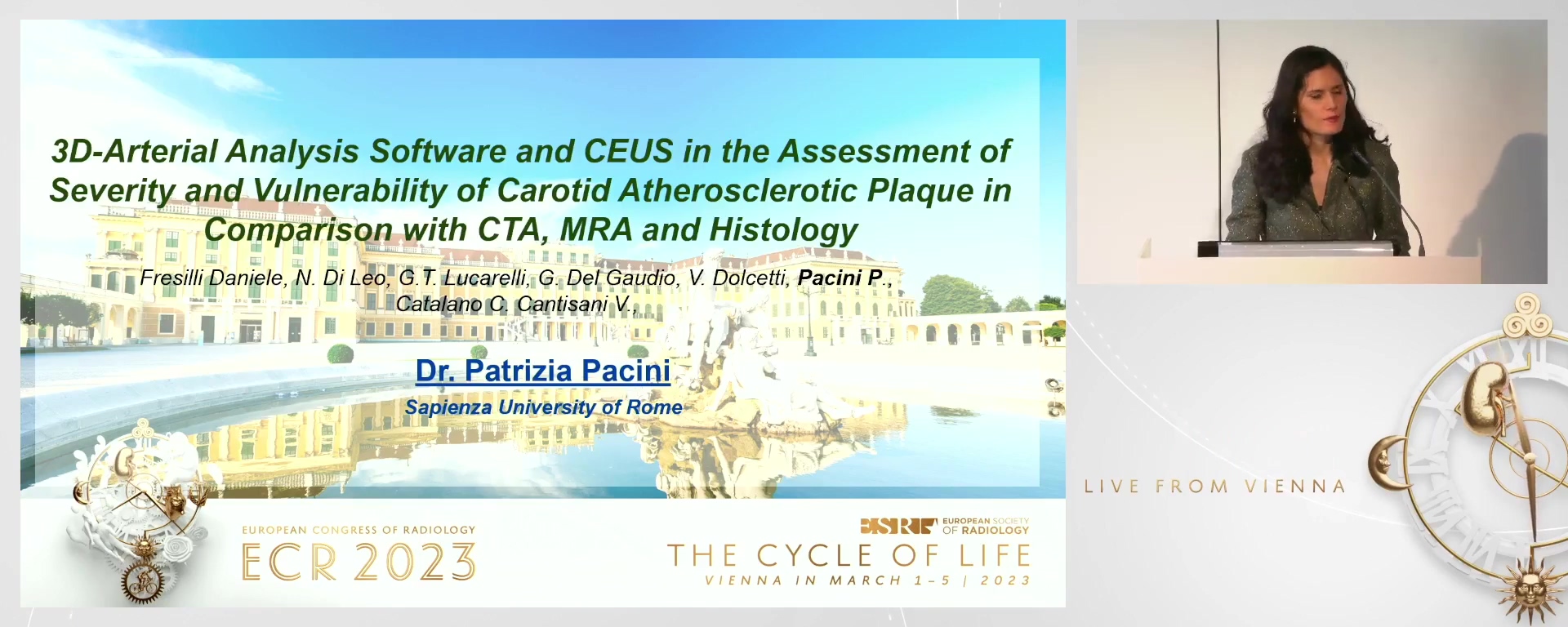 3D-Arterial Analysis Software and CEUS in the assessment of severity and vulnerability of carotid atherosclerotic plaque in comparison with CTA, MRA and histology