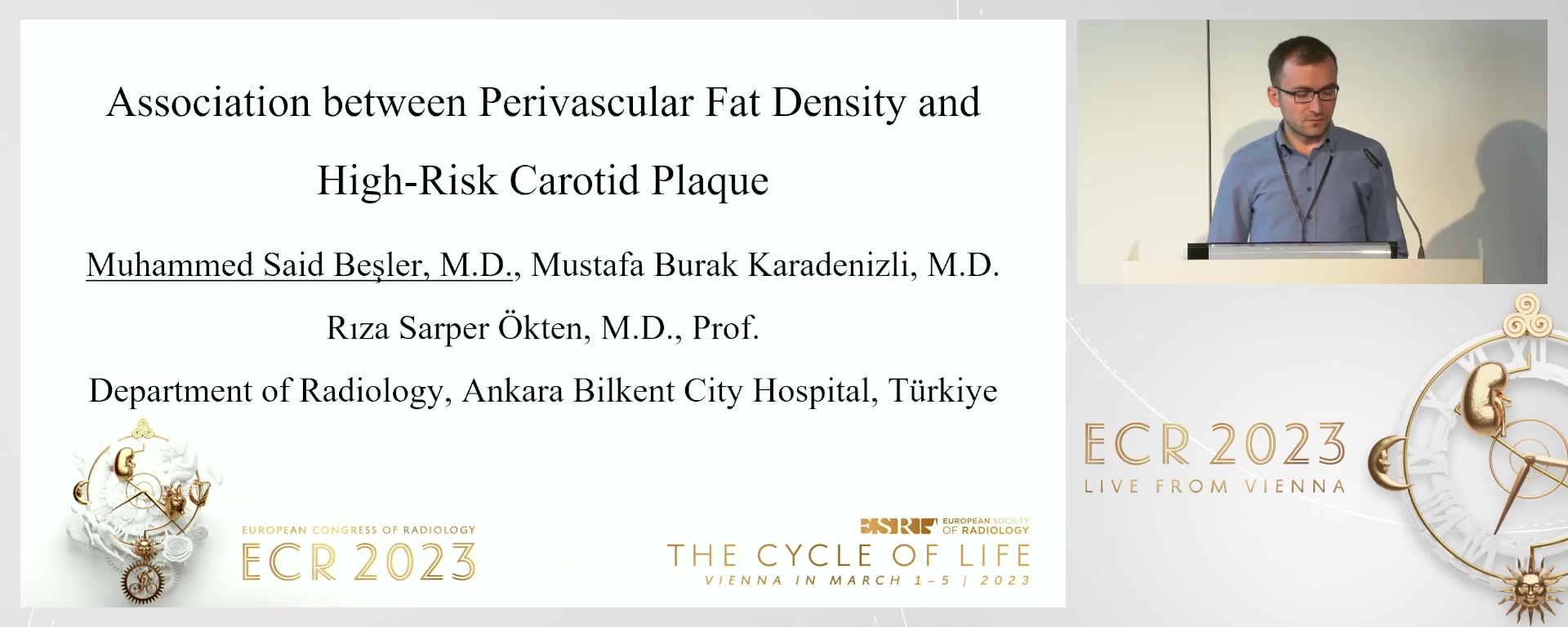 Association between perivascular fat density and high-risk carotid plaque