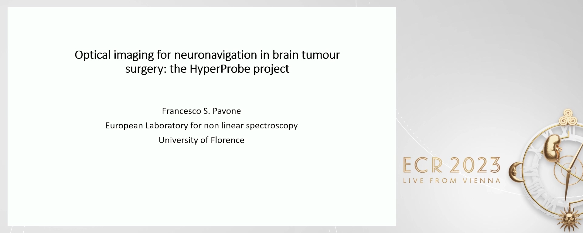 Optical imaging for neuronavigation in brain tumour surgery: the HyperProbe project - Francesco Pavone, Florence / IT