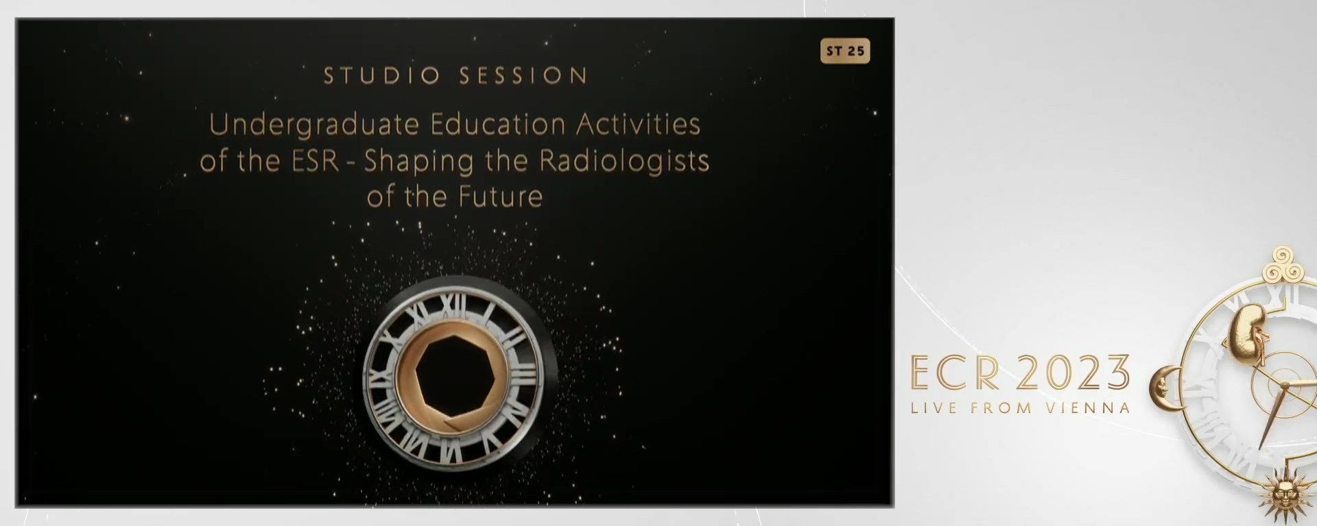 Undergraduate Education Activities of the ESR - Shaping the Radiologists of the Future