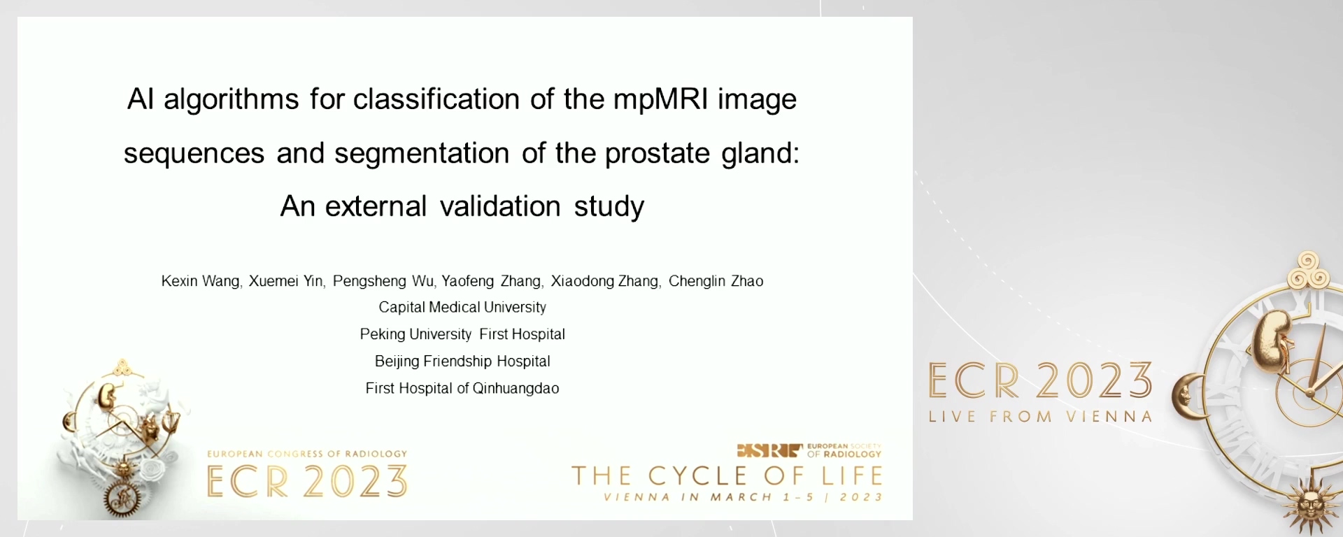 AI algorithms for classification of the mpMRI image sequences and segmentation of the prostate gland: an external validation study