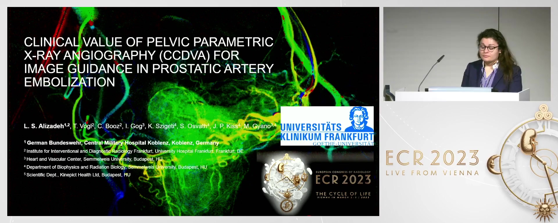 Clinical value of pelvic parametric X-ray angiography (ccDVA) for image guidance in prostatic artery embolisation