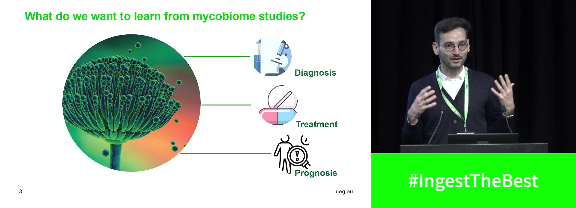 Fungi in IBD: What can we learn from mycobiome studies?
