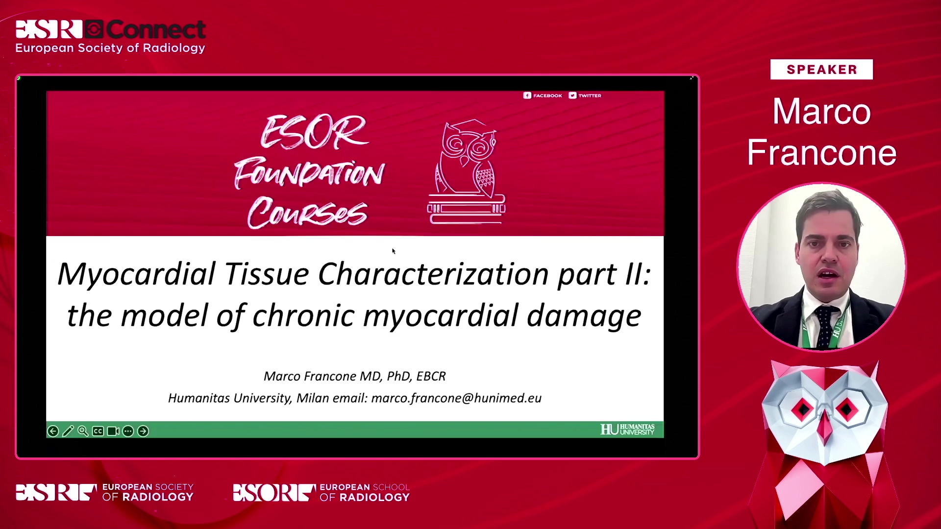 Myocardial Tissue Characterization part II: the model of chronic myocardial damage