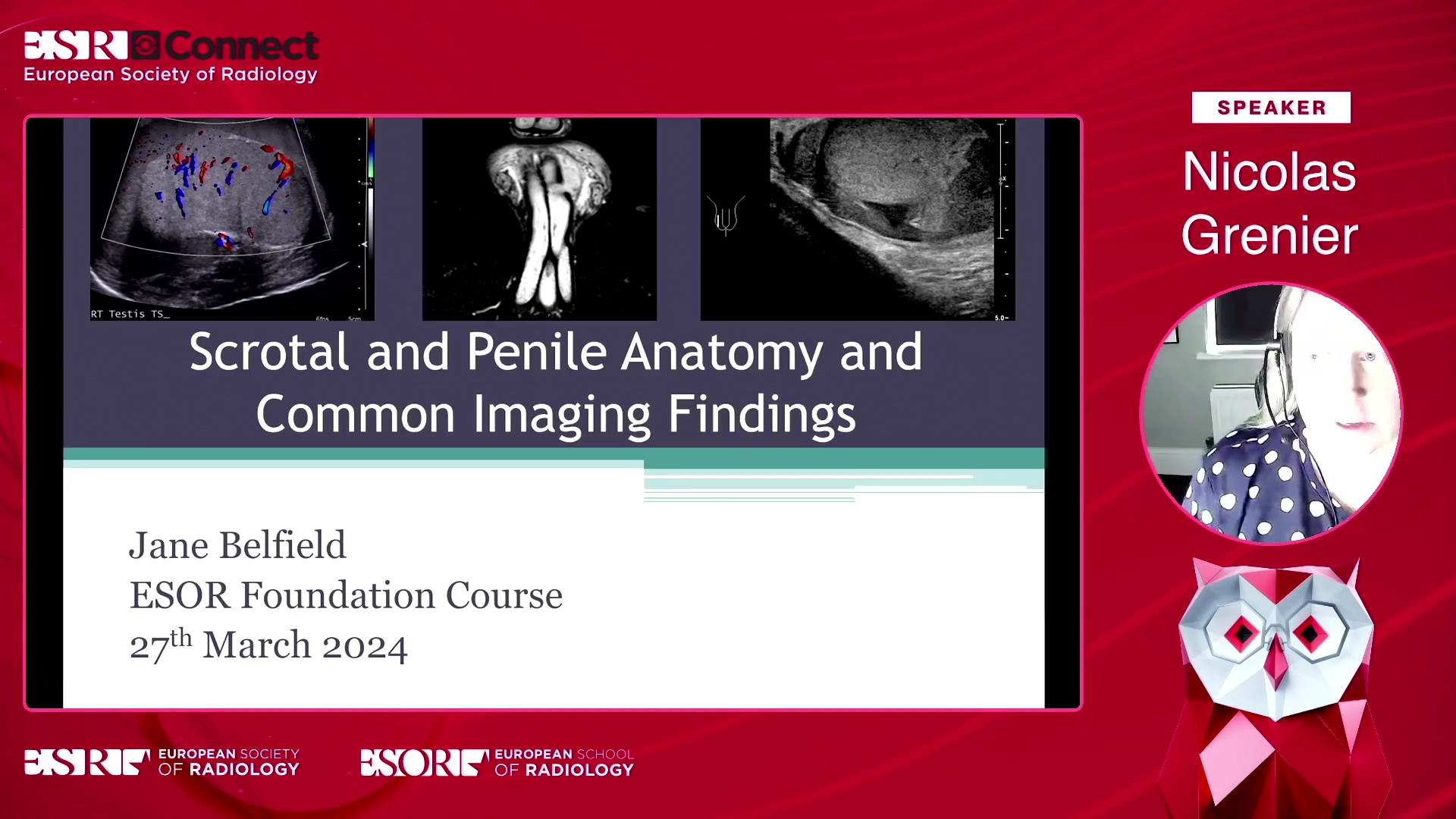 Scrotal and penile anatomy and common imaging findings
