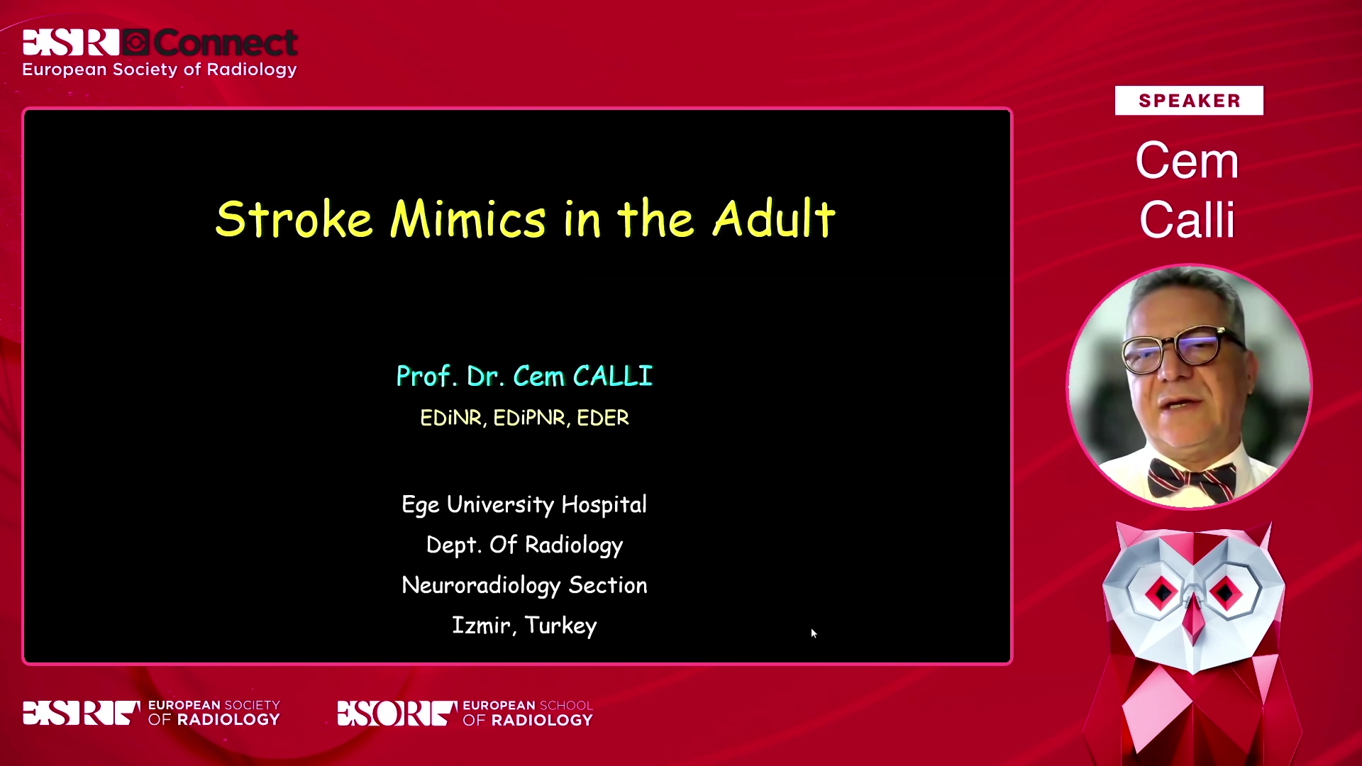 Stroke mimics in the adult