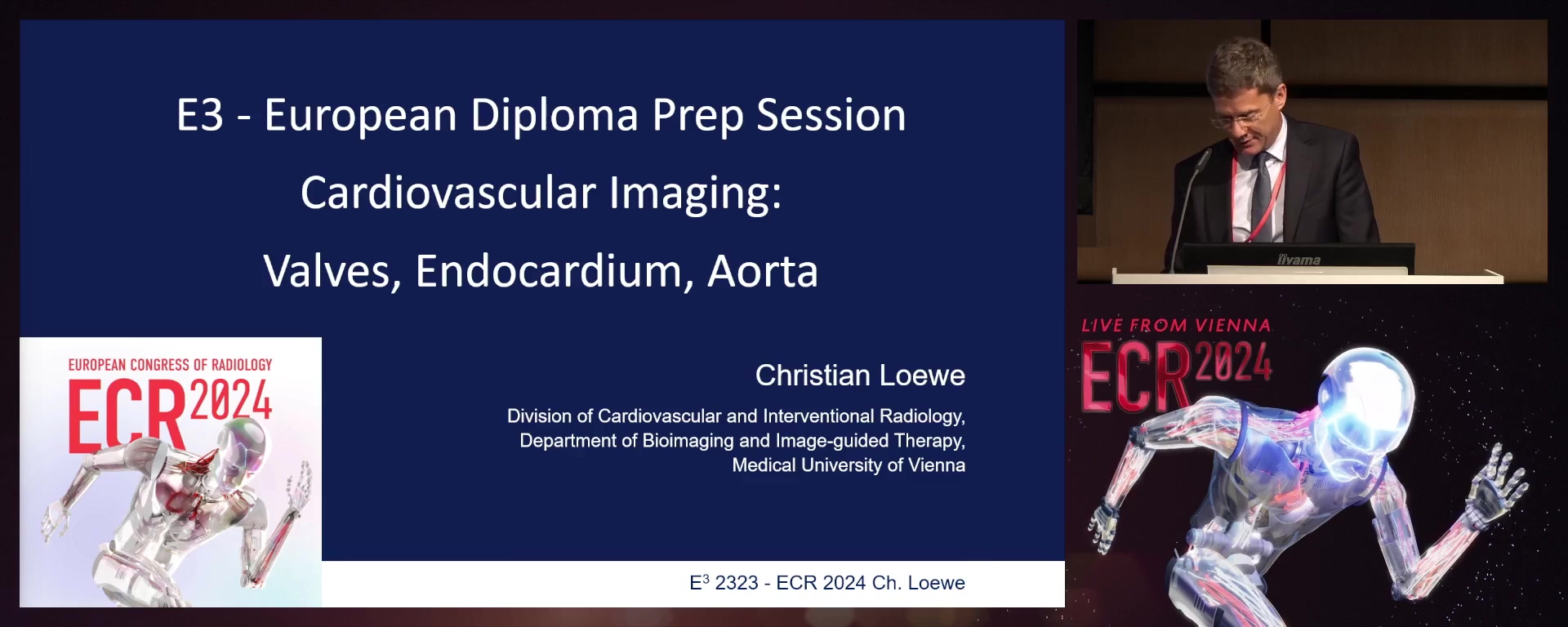 Cardiovascular imaging: valves, endocardium, and aorta