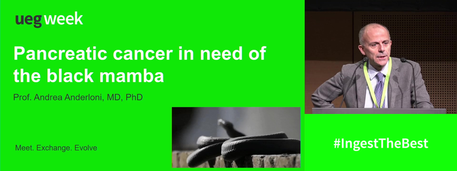Pancreatic cancer in need of the black mamba