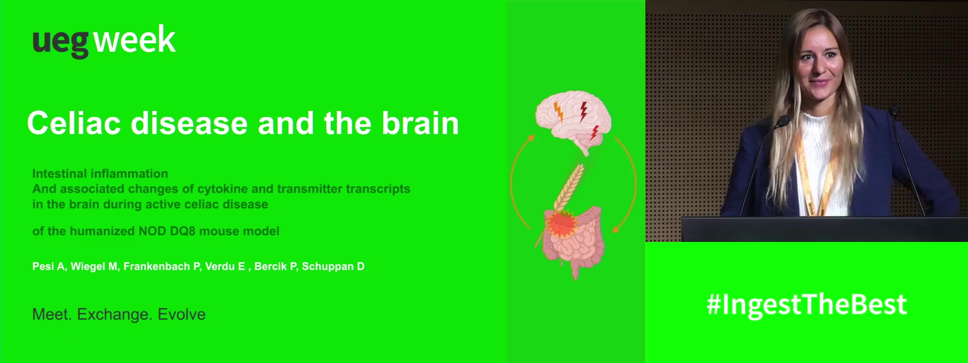 INTESTINAL INFLAMMATION AND ASSOCIATED CHANGES OF CYTOKINE AND TRANSMITTER TRANSCRIPTS IN THE BRAIN DURING ACTIVE CELIAC DISEASE IN THE HUMANIZED NOD DQ8 MOUSE MODEL