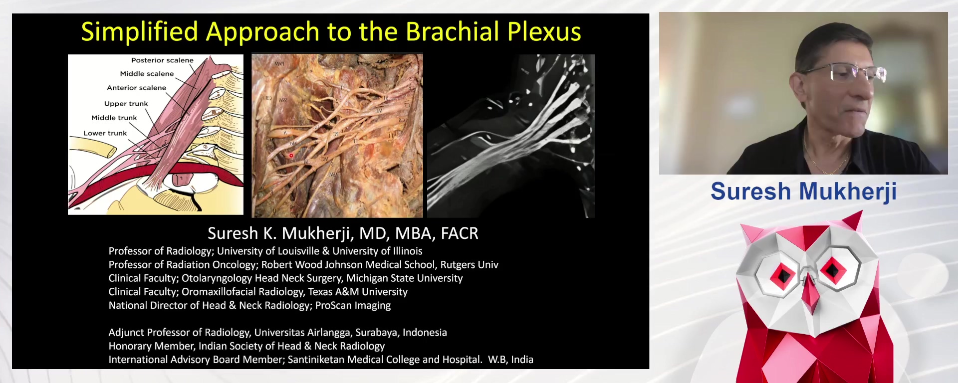Branchial Plexus: essential anatomy and relevant pathology