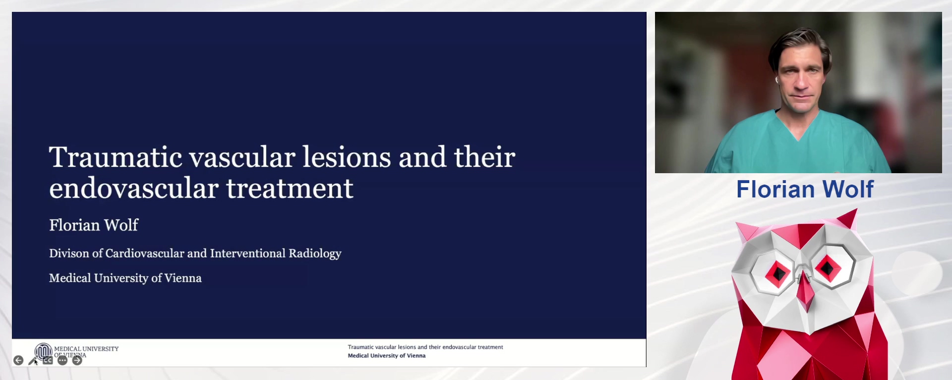 Traumatic Vascular Lesions and Their Endovascular Treatment