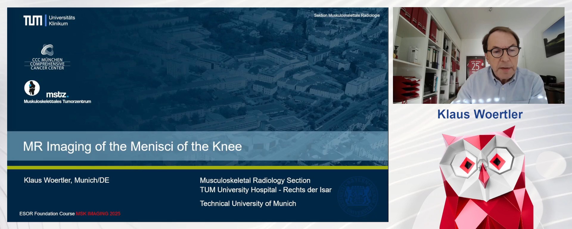 MR imaging of the menisci of the knee