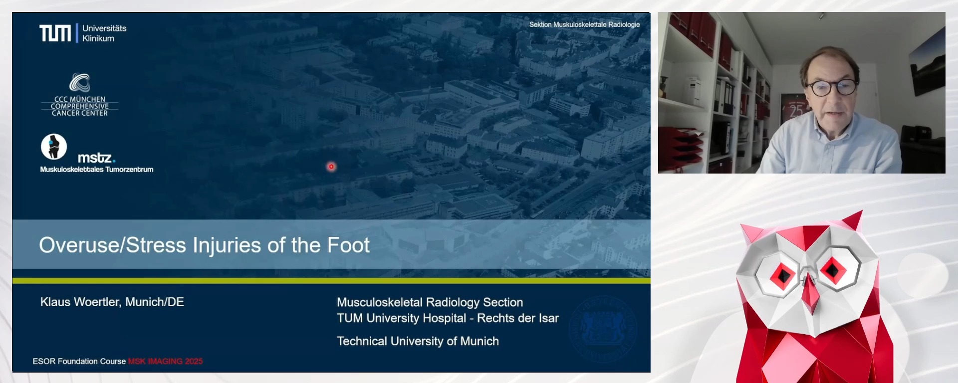 Overuse/stress injuries of the foot