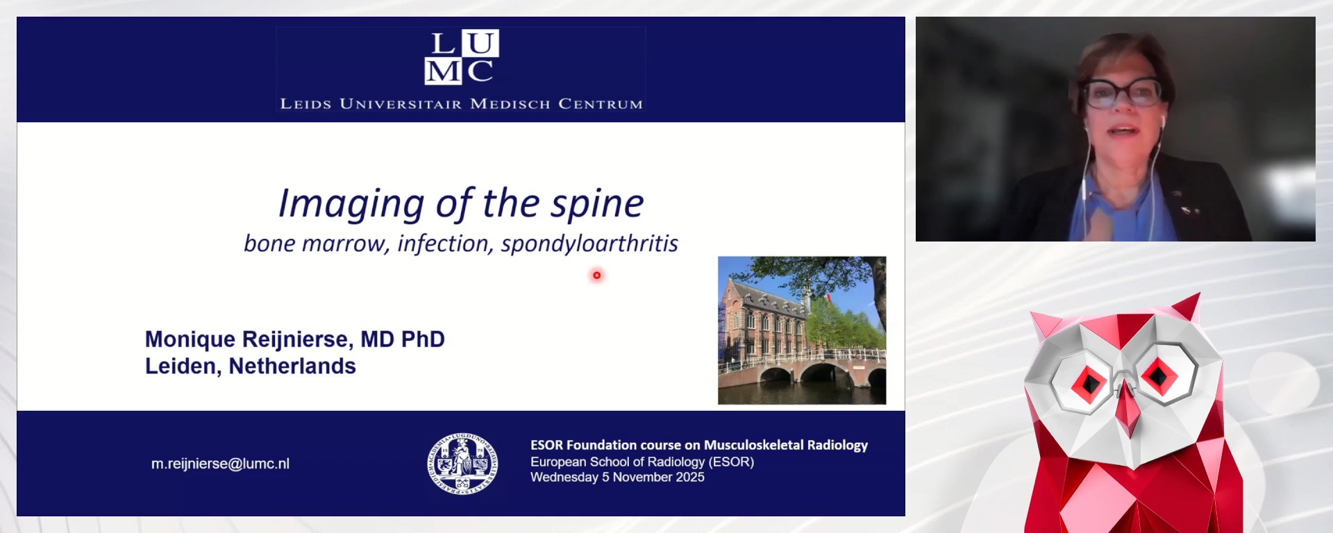 Imaging of the spine (bone marrow, infection and spondyloarthropathy)