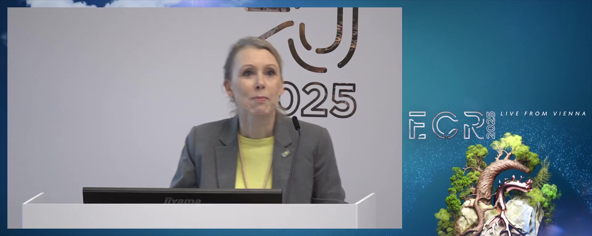 Chairperson's introduction
