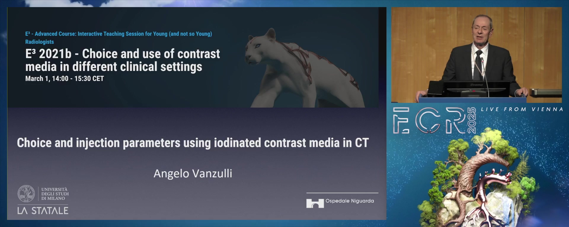 Choice and injection parameters using iodinated contrast media in CT