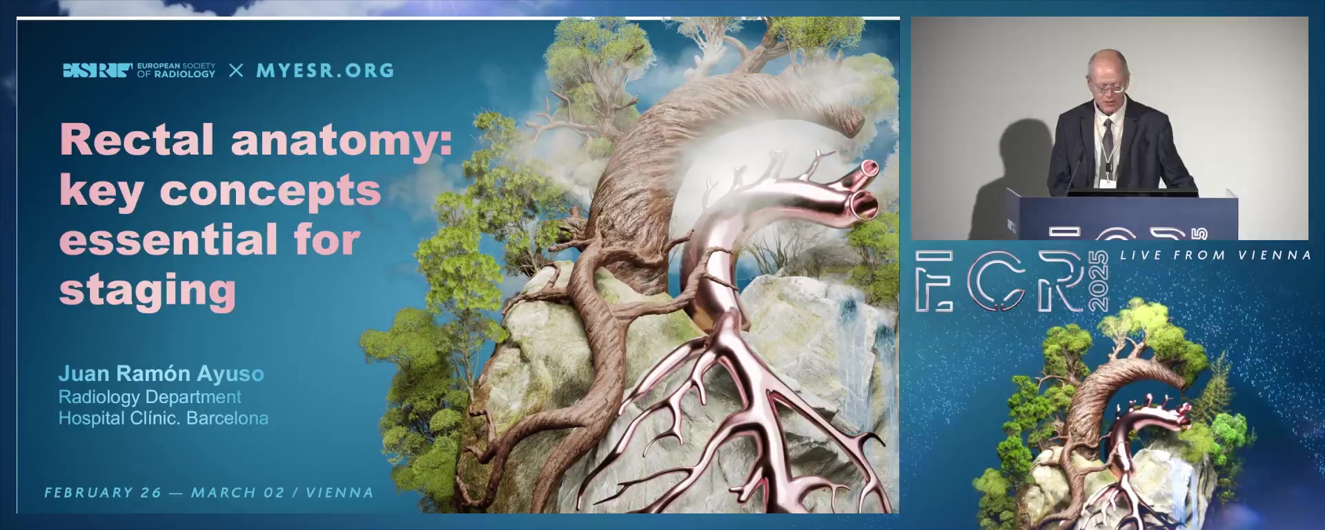 Rectal anatomy: key concepts essential for staging