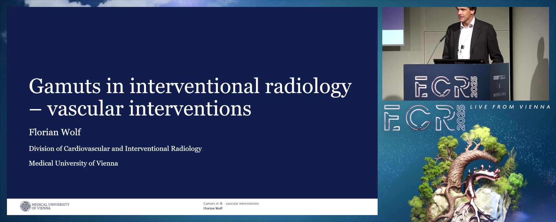 Vascular interventions