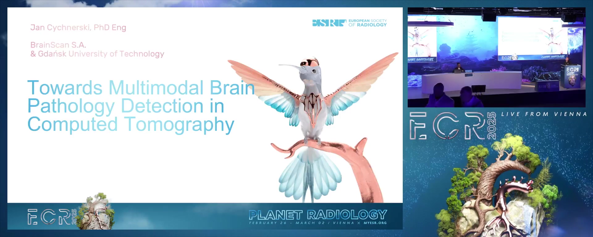 Towards multimodal brain pathology detection in computed tomography