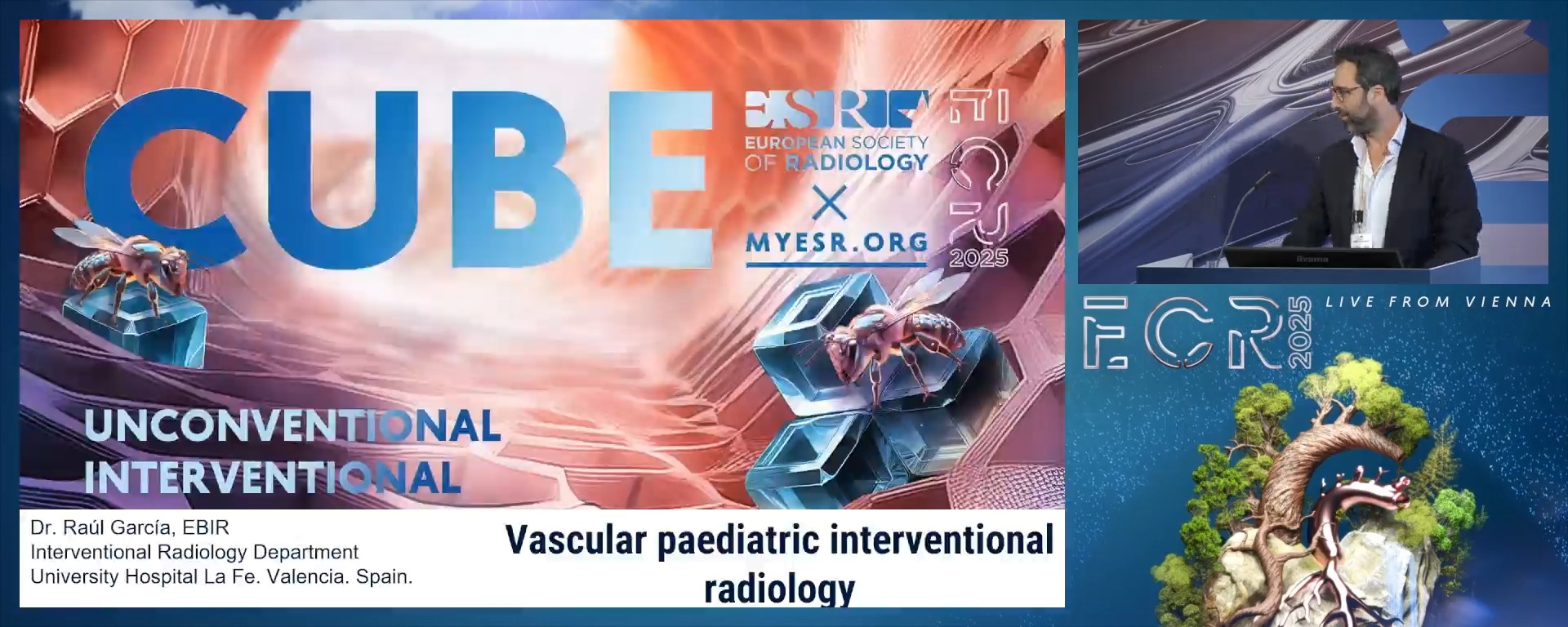Vascular paediatric interventional radiology