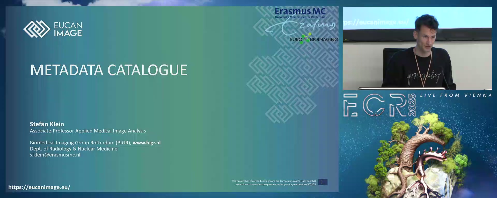 Metadata Catalogue (How It Is Organized and Contents)