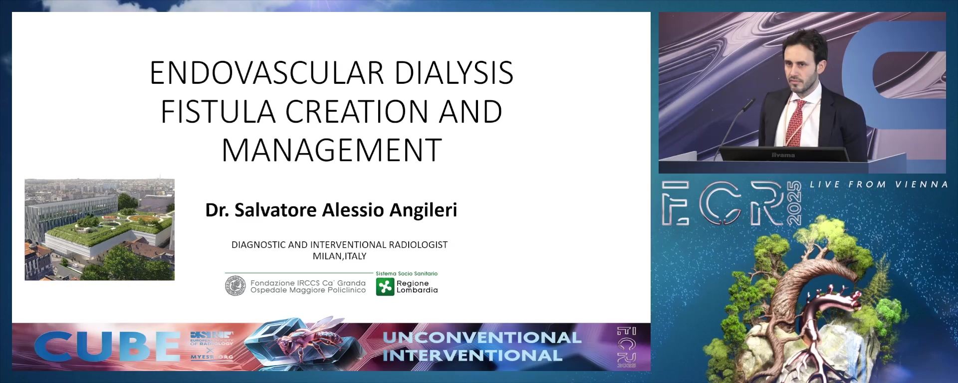 Endovascular dialysis fistula creation and management